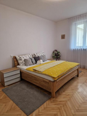 Apartmán Dlouhá 207